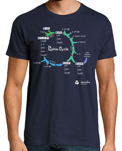 Camiseta Calvin Cycle (fondos oscuros) - latostadora.com - Modalova