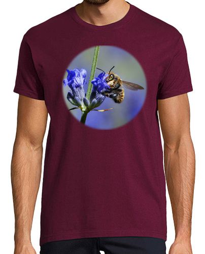 Camiseta Hombre Manga Corta Abeja sobre Flores de Lavanda (en pecho) laTostadora - latostadora.com - Modalova