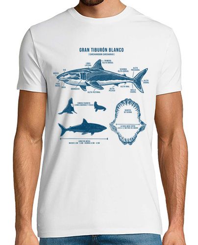 Camiseta Gran Tiburón Blanco Surferos Buceo Verano - latostadora.com - Modalova