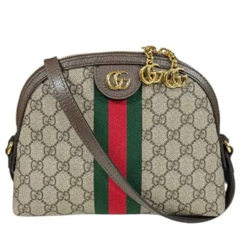 Pre-owned > Pre-owned Bags > Pre-owned Cross Body Bags - - Gucci Vintage - Modalova