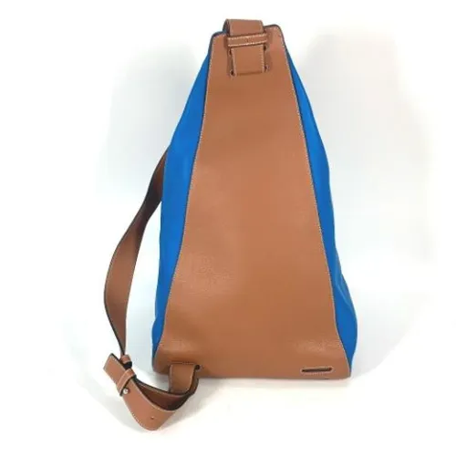 Pre-owned Leather Shoulder Bag - Loewe Pre-owned - Modalova
