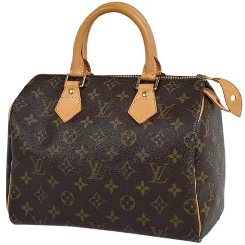 Pre-owned Canvas Handbag - Louis Vuitton Vintage - Modalova