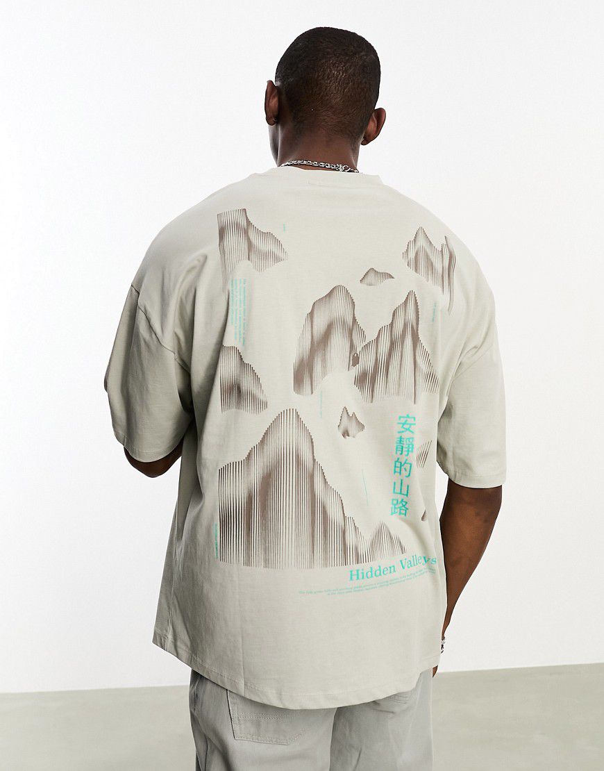 T-shirt oversize grigia con stampa sul davanti e stampa di montagne sul retro - ASOS DESIGN - Modalova
