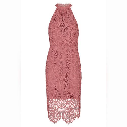 Forever new beverley lace shop pencil dress